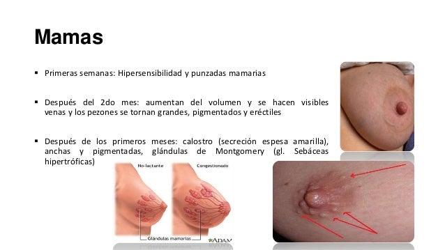 La crema para el blanqueamiento de la piel la crema china