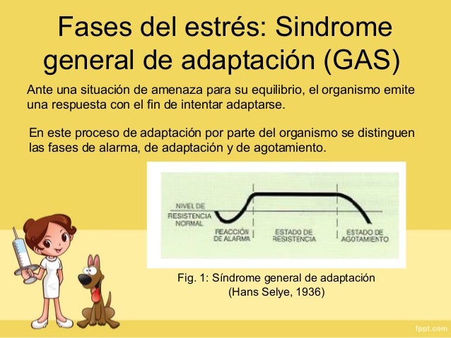Ensayo Fisiologia del estres