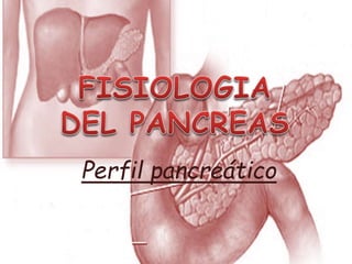 FISIOLOGIA  DEL PANCREAS Perfil pancreático 