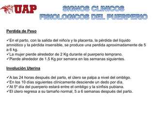 Perdida de Peso
En el parto, con la salida del niño/a y la placenta, la pérdida del líquido
amniótico y la pérdida insensible, se produce una perdida aproximadamente de 5
a 6 kg.
La mujer pierde alrededor de 2 Kg durante el puerperio temprano.
Pierde alrededor de 1.5 Kg por semana en las semanas siguientes.
Involución Uterina

A las 24 horas después del parto, el útero se palpa a nivel del ombligo.
En los 10 días siguientes clínicamente desciende un dedo por día.
Al 5º día del puerperio estará entre el ombligo y la sínfisis pubiana.
El útero regresa a su tamaño normal, 5 a 6 semanas después del parto.

 