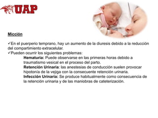 Micción
En el puerperio temprano, hay un aumento de la diuresis debido a la reducción
del compartimiento extracelular.
Pueden ocurrir los siguientes problemas:
Hematuria: Puede observarse en las primeras horas debido a
traumatismo vesical en el proceso del parto.
Retención Urinaria: las anestesias de conducción suelen provocar
hipotonía de la vejiga con la consecuente retención urinaria.
Infección Urinaria: Se produce habitualmente como consecuencia de
la retención urinaria y de las maniobras de cateterización.

 