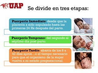 Se divide en tres etapas:
Puerperio Inmediato: desde que la
placenta a sido expulsado hasta las
primeras 24 Hs después del parto.
Puerperio Temprano: del segundo al
séptimo día post parto.
Puerperio Tardío: abarca de los 8 a
42 días aprox. , o el tiempo necesario
para que el organismo de la mujer
vuelva a su estado pregestacional.

 