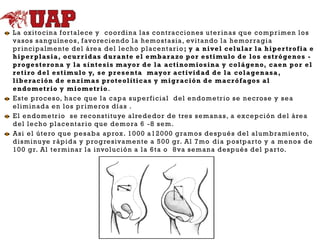 L a oxi t o c in a f o r t a le ce y c o o rd i n a l a s c o n t ra c c io n es u t e r i n a s q u e c o m p r i me n l o s
va s o s s a n g u í n e o s , f avo re c i e n do l a h e m o s t a s ia , ev i t a n do l a h e m o r ra g i a
p r i n c i pa lm en te d e l á re a d e l l e c h o p l a c e n t ar i o ; y a n i ve l c e l u la r l a h i p e r tr ofia e
h i p e r plas ia, o c u r r i das d u r a n te e l e m b a r a zo p o r e s t i m ulo d e l o s e s t r ó ge no s p r o ge s t ero na y l a s í n t e sis m ayo r d e l a a c t i no m ios ina y c o l á ge no, c a e n p o r e l
r e t i ro d e l e s t i m ulo y, s e p r e s e n ta m ayo r a c t i vid ad d e l a c o l a ge n asa ,
l i b e rac ión d e e n z i m a s p r o t e olític as y m i g r ac ió n d e m a c r ó fa go s a l
e n d o m e t r io y m i o m e tr io .
E s t e p ro c e s o, h a c e q u e l a c a p a s u p e r f i c ia l d e l e n d o m e t r io s e n e c ro s e y s e a
e l i m i n ad a e n l o s p r i m e ro s d í a s .
E l e n d o m e tr io se re c o n st i tu ye a l re d e d o r d e t re s se m a n a s, a exc e p c i ó n d e l á re a
d e l l e c h o p l a c e n ta r i o q u e d e m o ra 6 - 8 s e m .
A s i e l ú t e ro q u e p e s a ba a p rox. 1 0 0 0 a 1 2 0 00 g ra m o s d e s p u é s d e l a l u m bra m i e n to,
d i s m i nu ye r á p i d a y p ro g re s iva me n te a 5 0 0 g r. A l 7 m o d i a p o s t p a r to y a m e n o s d e
1 0 0 g r. A l t e r m i na r l a i nvo l u c i ó n a l a 6 t a o 8 va s e m a n a d e s p u é s d e l p a r t o.

 