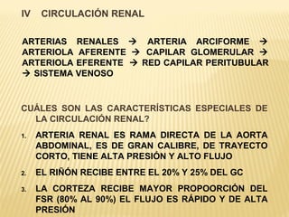 Fisiologia del riñon. | PPT