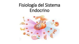 Fisiología del Sistema
Endocrino
 