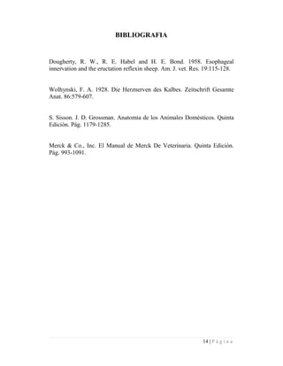 Documento de Fisiología del sistema nervioso PDF