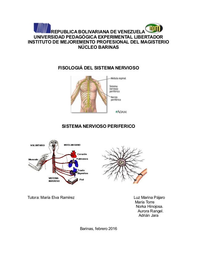 Anatom a y Fisiolog a humana SISTEMA CARDIOVASCULAR