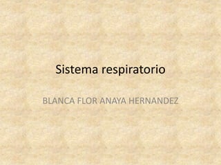 Sistema respiratorio

BLANCA FLOR ANAYA HERNANDEZ
 