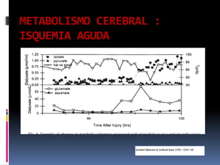 METABOLISMO CEREBRAL : ISQUEMIA AGUDA
