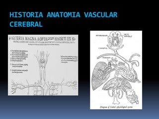 HISTORIA ANATOMIA VASCULAR CEREBRAL