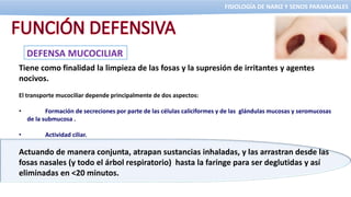 FISIOLOGIA DE NARIZ Y SPN.pptx