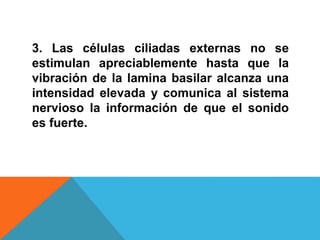 3. Las células ciliadas externas no se 
estimulan apreciablemente hasta que la 
vibración de la lamina basilar alcanza una 
intensidad elevada y comunica al sistema 
nervioso la información de que el sonido 
es fuerte. 
 