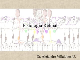 FFiissiioollooggííaa RReettiinnaall 
Dr. Alejandro Villalobos U. 
 