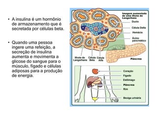 • A insulina é um hormônio
de armazenamento que é
secretada por células beta.
• Quando uma pessoa
ingere uma refeição, a
secreção de insulina
aumenta e movimenta a
glicose do sangue para o
músculo, fígado e células
adiposas para a produção
de energia.
 
