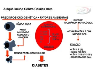 PREDISPOSIÇÃO GENÉTICA + FATORES AMBIENTAIS
“QUEBRA”
TOLERÂNCIA IMUNOLÓGICA
ATIVAÇÃO CÉLS. T CD4
ESPECÍFICAS
ATIVAÇÃO:
• CÉLS. B (B)
• CÉLS. NK (NK)
• CÉLS. CD8+ (T-CD8+)
• MACRÓFAGOS (M)
AUTO-
IMUNIDADE
CELULAR E
HUMORAL
T-CD4+
T-CD8+
M
NK
B
IL-1ß
TNF-
INF-
ILHOTAS
LANGHERHANS
INSULITE
CÉLULA BETA
MENOR PRODUÇÃO INSULINA
DIABETES
Ataque Imune Contra Células Beta
 