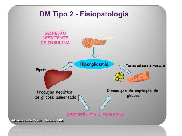 diabetes mellitus fisiopatología libro pdf
