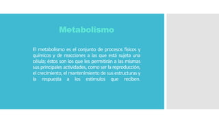 Metabolismo
El metabolismo es el conjunto de procesos físicos y
químicos y de reacciones a las que está sujeta una
célula; éstos son los que les permitirán a las mismas
sus principales actividades, como ser la reproducción,
el crecimiento, el mantenimiento de sus estructuras y
la respuesta a los estímulos que reciben.
 