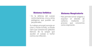 Sistema linfático
 Es la defensa del cuerpo
contra bacterias, virus y otros
patógenos que puedan ser
perjudiciales.
Su trabajo principal consiste en
crear y mover la linfa, un fluido
claro que contiene los glóbulos
blancos de la sangre que
ayudan al cuerpo a luchar
contra una infección.
Sistema Respiratorio
 Nos permite tomar oxígeno y
expulsar el dióxido de
carbono mediante un
proceso que conocemos
como respiración.
 