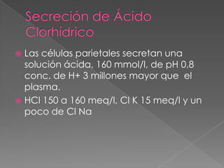 Secreción de Ácido Clorhídrico,[object Object],Las células parietales secretan una solución ácida, 160 mmol/l, de pH 0,8 conc. de H+ 3 millones mayor que  el plasma. ,[object Object],HCl 150 a 160 meq/l, Cl K 15 meq/l y un poco de Cl Na,[object Object]