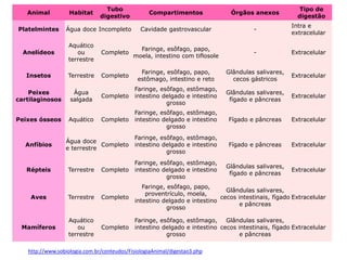 Animal Habitat
Tubo
digestivo
Compartimentos Órgãos anexos
Tipo de
digestão
Platelmintes Água doce Incompleto Cavidade gastrovascular -
Intra e
extracelular
Anelídeos
Aquático
ou
terrestre
Completo
Faringe, esôfago, papo,
moela, intestino com tiflosole
- Extracelular
Insetos Terrestre Completo
Faringe, esôfago, papo,
estômago, intestino e reto
Glândulas salivares,
cecos gástricos
Extracelular
Peixes
cartilaginosos
Água
salgada
Completo
Faringe, esôfago, estômago,
intestino delgado e intestino
grosso
Glândulas salivares,
fígado e pâncreas
Extracelular
Peixes ósseos Aquático Completo
Faringe, esôfago, estômago,
intestino delgado e intestino
grosso
Fígado e pâncreas Extracelular
Anfíbios
Água doce
e terrestre
Completo
Faringe, esôfago, estômago,
intestino delgado e intestino
grosso
Fígado e pâncreas Extracelular
Répteis Terrestre Completo
Faringe, esôfago, estômago,
intestino delgado e intestino
grosso
Glândulas salivares,
fígado e pâncreas
Extracelular
Aves Terrestre Completo
Faringe, esôfago, papo,
proventrículo, moela,
intestino delgado e intestino
grosso
Glândulas salivares,
cecos intestinais, fígado
e pâncreas
Extracelular
Mamíferos
Aquático
ou
terrestre
Completo
Faringe, esôfago, estômago,
intestino delgado e intestino
grosso
Glândulas salivares,
cecos intestinais, fígado
e pâncreas
Extracelular
http://www.sobiologia.com.br/conteudos/FisiologiaAnimal/digestao3.php
 