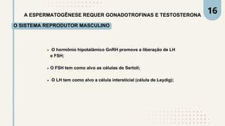 A ESPERMATOGÊNESE REQUER GONADOTROFINAS E TESTOSTERONA
O SISTEMA REPRODUTOR MASCULINO
O hormônio hipotalâmico GnRH promove a liberação de LH
e FSH;
O FSH tem como alvo as células de Sertoli;
O LH tem como alvo a célula intersticial (célula de Leydig);
16
 