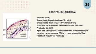 FASE FOLICULAR INICIAL
Início do ciclo;
Aumento de Gonadotrofinas-FSH e LH
Crescimento dos Folículos Ovarianos: FSH;
Produção de Hormônios pelas células dos folículos;
Produção de AMH;
Ação dos Estrogênios: vão exercer uma retroalimentação
negativa na secreção de FSH e LH pela adeno-hipófise.
Feedback Negativo e Positivo;
29
 