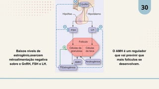 Baixos níveis de
estrogênio,exercem
retroalimentação negativa
sobre o GnRH, FSH e LH.
O AMH é um regulador
que vai previnir que
mais foliculos se
desenvolvam.
30
 