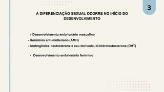 A DIFERENCIAÇÃO SEXUAL OCORRE NO INÍCIO DO
DESENVOLVIMENTO
Desenvolvimento embrionário masculino
- Hormônio anti-mülleriano (AMH)
- Androgênios: testosterona e seu derivado, di-hidrotestosterona (DHT)
Desenvolvimento embrionário feminino
3
 