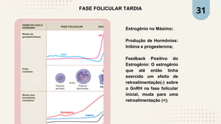 FASE FOLICULAR TARDIA
Estrogênio no Máximo;
Produção de Hormônios:
Inibina e progesterona;
Feedback Positivo do
Estrogênio: O estrogênio
que até então tinha
exercido um efeito de
retroalimentação(-) sobre
o GnRH na fase folicular
inicial, muda para uma
retroalimentação (+);
31
 