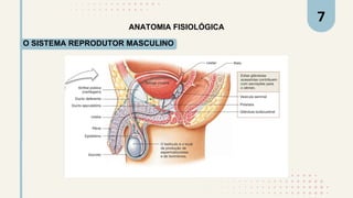 ANATOMIA FISIOLÓGICA
7
O SISTEMA REPRODUTOR MASCULINO
 
