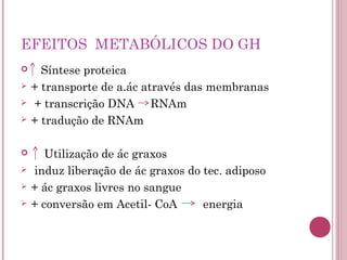 EFEITOS METABÓLICOS DO GH
     Síntese proteica
   + transporte de a.ác através das membranas
   + transcrição DNA RNAm
   + tradução de RNAm

      Utilização de ác graxos
   induz liberação de ác graxos do tec. adiposo
   + ác graxos livres no sangue
   + conversão em Acetil- CoA      energia
 