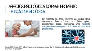 ASPECTOSFISIOLÓGICOSDOENVELHECIMENTO
-FU
N
Ç
ÃON
EU
R
OLÓG
IC
A
E
m resposta ao dano neuronal, as células gliais
aumentam. Esse acúmulo de células gliais,
denominado gliose, representa uma resposta
compensatória protegendo a função neuronal e a
plasticidade.
Pereira SRMIn:FreitasEV,PyL(Org). Tratado de geriatria egerontologia. Cap14 – Fisiologia do Envelhecimento.4 ed. Riode Janeiro:
Guanabara Koogan, 2017
 