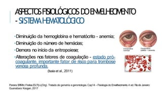 ASPECTOSFISIOLÓGICOSDOENVELHECIMENTO
-SIST
EMAH
EMAT
OLÓG
IC
O
•Diminuição da hemoglobina e hematócrito - anemia;
•Diminuição do número de hemácias;
•Demora no início da eritropoiese;
•Alterações nos fatores de coagulação - estado pró-
coagulante, importante fator de risco para trombose
venosa profunda.
(Isaia et al., 2011)
Pereira SRMIn:FreitasEV,PyL(Org). Tratado de geriatria egerontologia. Cap14 – Fisiologia do Envelhecimento.4 ed. Riode Janeiro:
Guanabara Koogan, 2017
 