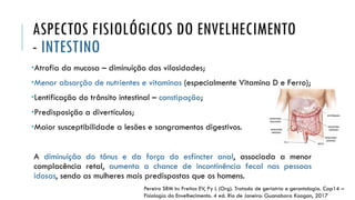 ASPECTOS FISIOLÓGICOS DO ENVELHECIMENTO
- INTESTINO
•Atrofia da mucosa – diminuição das vilosidades;
•Menor absorção de nutrientes e vitaminas (especialmente Vitamina D e Ferro);
•Lentificação do trânsito intestinal – constipação;
•Predisposição a divertículos;
•Maior susceptibilidade a lesões e sangramentos digestivos.
A diminuição do tônus e da força do esfíncter anal, associada a menor
complacência retal, aumenta a chance de incontinência fecal nas pessoas
idosas, sendo as mulheres mais predispostas que os homens.
Pereira SRM In: Freitas EV, Py L (Org). Tratado de geriatria e gerontologia. Cap14 –
Fisiologia do Envelhecimento. 4 ed. Rio de Janeiro: Guanabara Koogan, 2017
 