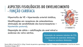ASPECTOS FISIOLÓGICOS DO ENVELHECIMENTO
- FUNÇÃO CARDÍACA
•Hipertrofia de VE – hipertensão arterial sistólica;
•Modificações em receptores de catecolaminas:
diminuição de sensibilidade dos barorreceptores –
hipotensão postural;
•Deposição de cálcio – calcificação do anel mitral e
esclerose da valva aórtica.
Diminuição do consumo máximo de O2;
Capacidade de exercício diminuída;
Reserva cardíaca diminuída.
Pereira SRM In: Freitas EV, Py L (Org). Tratado de geriatria e gerontologia. Cap14 – Fisiologia do Envelhecimento. 4 ed. Rio de Janeiro:
Guanabara Koogan, 2017
 