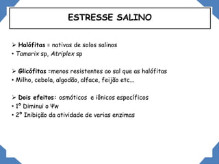  Halófitas = nativas de solos salinos
• Tamarix sp, Atriplex sp
 Glicófitas =menos resistentes ao sal que as halófitas
• Milho, cebola, algodão, alface, feijão etc...
 Dois efeitos: osmóticos e iônicos específicos
• 1º Diminui o Ψw
• 2º Inibição da atividade de varias enzimas
ESTRESSE SALINO
 