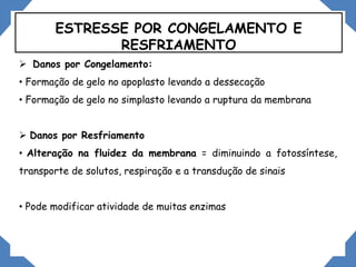 ESTRESSE POR CONGELAMENTO E
RESFRIAMENTO
 Danos por Congelamento:
• Formação de gelo no apoplasto levando a dessecação
• Formação de gelo no simplasto levando a ruptura da membrana
 Danos por Resfriamento
• Alteração na fluidez da membrana = diminuindo a fotossíntese,
transporte de solutos, respiração e a transdução de sinais
• Pode modificar atividade de muitas enzimas
 