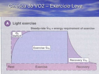 Cinética do VO2 – Exercício Leve 