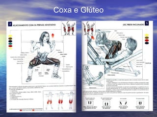 Coxa e Glúteo 