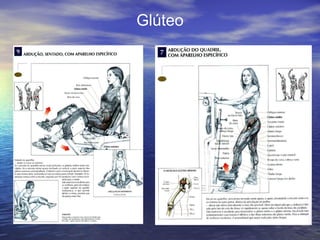 Glúteo 