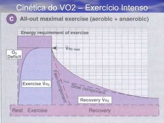 Cinética do VO2 – Exercício Intenso 