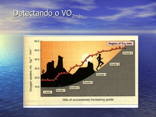 Detectando o VO 2máx. 