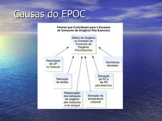 Causas do EPOC 