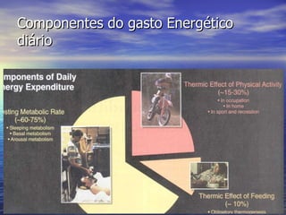 Componentes do gasto Energético diário 