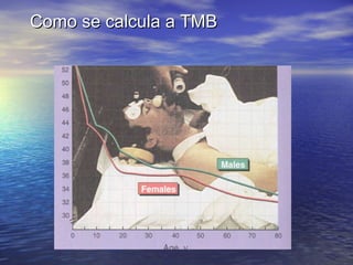 Como se calcula a TMB 
