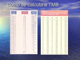 Como se calcula a TMB 