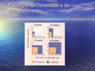 Fisiologia da Obesidade e do Emagrecimento 