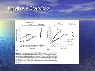 Lipólise e Exercício 