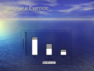 Lipólise e Exercício 