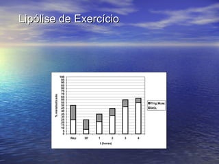 Lipólise de Exercício 